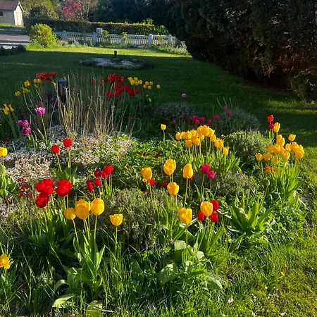 Jule - Cozy And Elegant Place With Open Ceiling, Beautiful Garden And Specious Terrace 3*